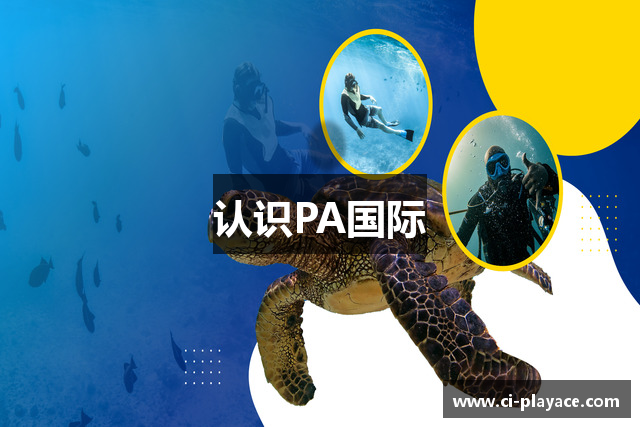 认识PA国际